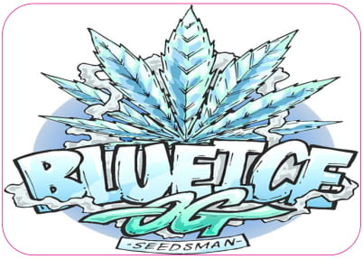Etiquettes/Stickers Pochons (100 pièces)