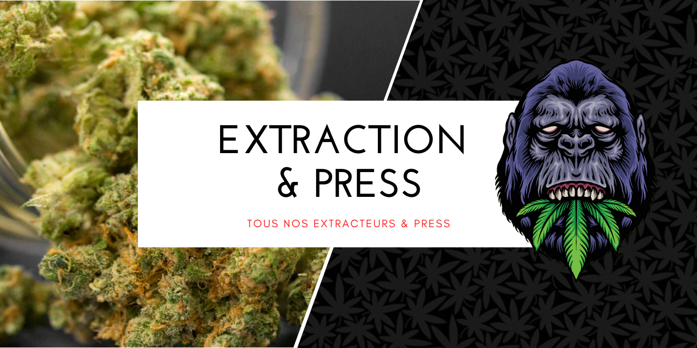 Extraction and Press