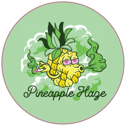Capsule Labels/Stickers 26mm (3 and 5ml)
